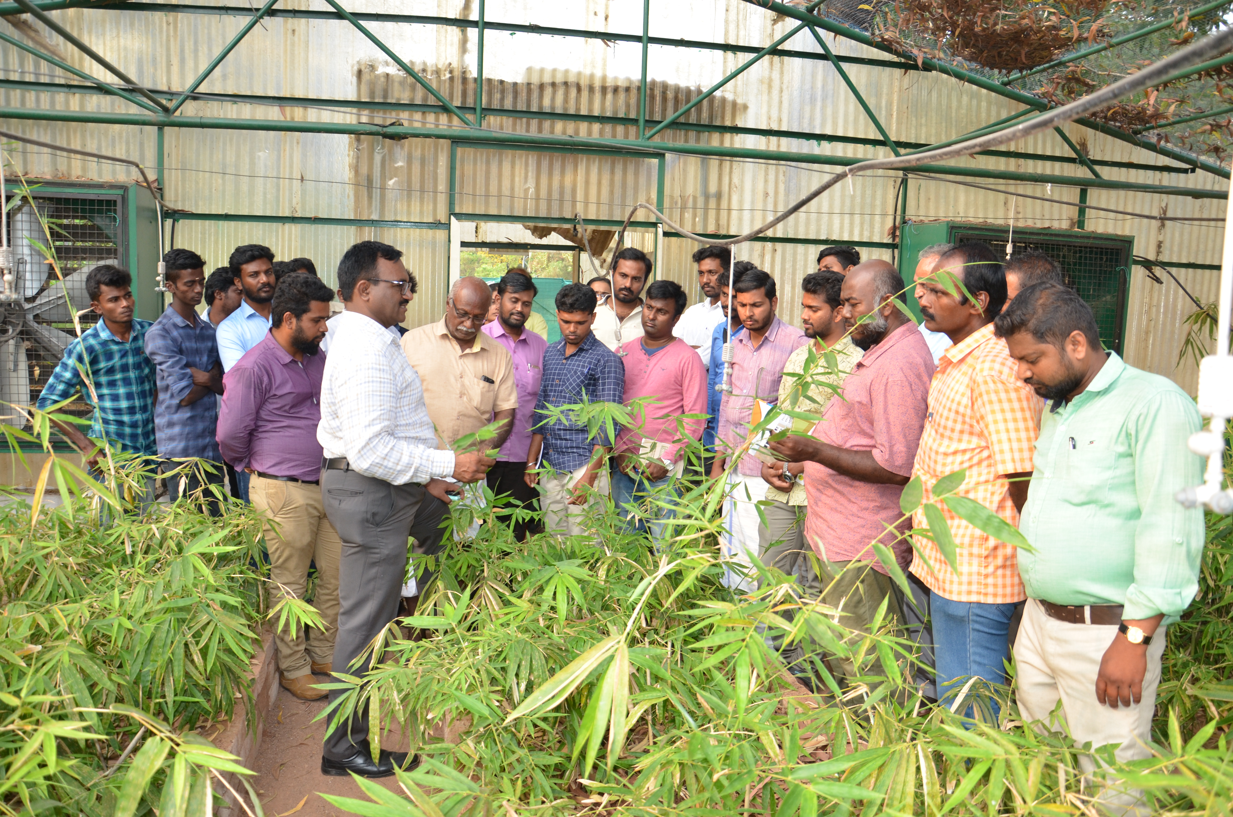 Bamboo Nursery &  Management  Training 2020