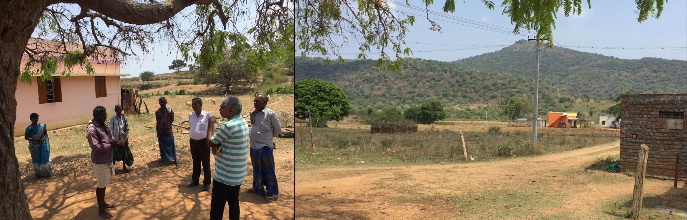 Institute of Forest Genetics and Tree Breeding, Coimbatore